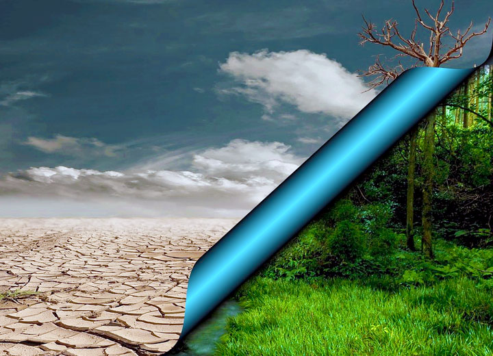 Environmental Responsibility